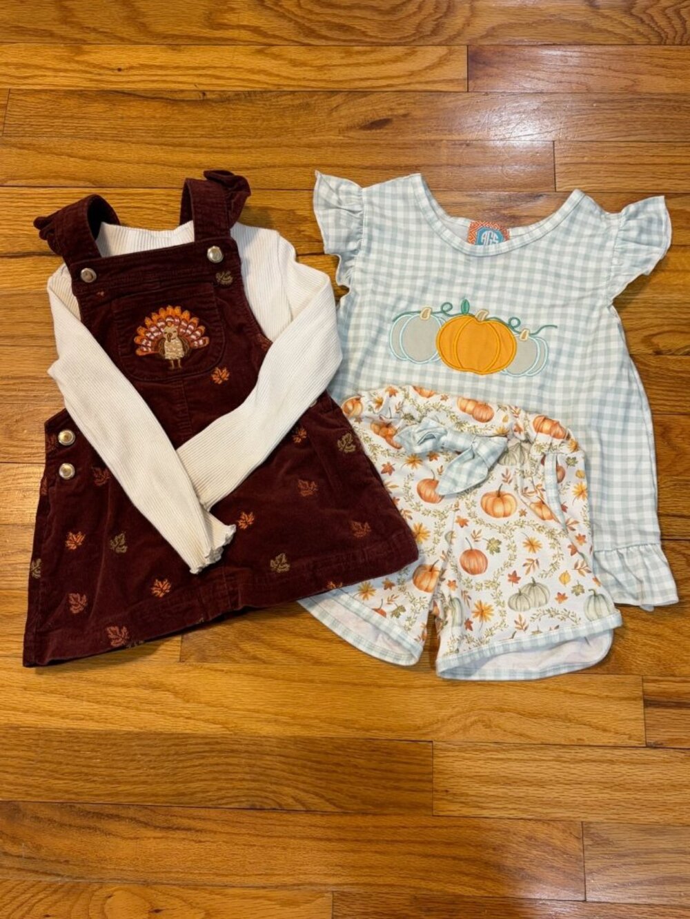 Girls 2T Fall Clothing, 4-Piece Lot